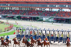 Hiện mới chỉ có trường đua ngựa Đại Nam ở Bình Dương đi vào hoạt động và đang xin phép được Kl992 VIP Trang Chủ 2026 cá cược tại đây. Ảnh: Đức Thanh