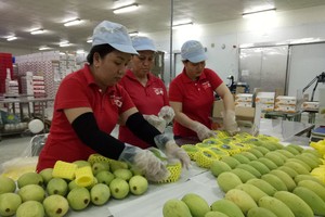 Năm 2018, trao đổi thương mại Việt Nam với thị trường CPTPP đạt gần 75 tỷ USD, trong đó, Việt Nam xuất siêu sang 5 thị trường, gồm: Canada, Chilê, Mexico, Australia và Peru.