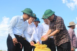 Tỉnh Quảng Trị sẽ có thêm chính sách để hỗ trợ địa phương nhân rộng các mô hình Kl994 nhà cái bóng đá world cup theo hướng hữu cơ organic.