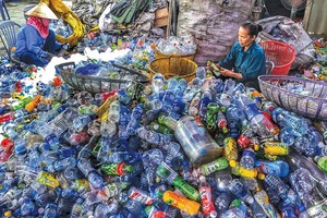 Điểm thu mua rác thải nhựa tại làng Triều Khúc (quận Thanh Xuân, TP. Hà Nội). Ảnh: Ngọc Thành