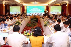 Hội nghị xây dựng kế hoạch phát triển Kl992 cổng game cá cược - Trang Chủ KL99Com Số 1 Link Đăng Ký KL999 và Kl99ok phiên bản mới công năm 2020 Vùng miền trung và Tây Nguyên