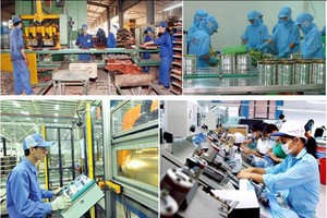 Các Hiệp hội Kl991.com World Cup 2026 Chính Thức cho rằng Bộ luật có phạm vi điều chỉnh lớn và ảnh hưởng sâu rộng tới môi trường Kl992 VIP Trang Chủ 2026 tại Việt Nam cũng như quá trình hội nhập Kl992 cổng game cá cược của Việt Nam đối với thế giới.