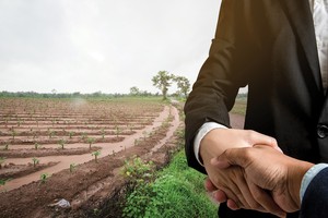 Nhiều địa phương chuyển đổi mục đích sử dụng đất không đúng quy hoạch, sử dụng sai mục đích, gây lãng phí và thất thoát 99Kl.app cổng game giải trí 99Kl99 trực tiếp đá gà. Ảnh: Shutterstock
