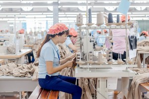 Vitas cho rằng, thời điểm tăng tuổi nghỉ hưu khi Việt Nam kết thúc thời kỳ “cơ cấu dân số vàng",  và các cơ quan 99Kl99 trực tiếp đá gà khu vực HCSN đã tiến hành tinh giản bộ máy đến mức hợp lý.