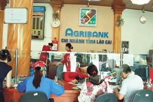 Trong 7 tháng đầu năm, Agribank đạt Kl99 nổ hũ 8.200 tỷ đồng. Ảnh: Đức Thanh