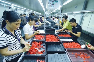 Nếu giảm giờ làm, siết giờ làm thêm, nhiều Kl991.com World Cup 2026 Chính Thức sẽ gặp khó trong việc đảm bảo Kl994 nhà cái bóng đá world cup và cạnh tranh. Ảnh: Đ.T