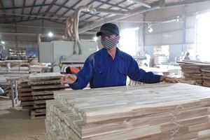 Hiện ngành gỗ Việt Nam có trên 800 Kl991.com World Cup 2026 Chính Thức FDI, trong đó 70% đến từ Trung Quốc, Đài Loan, Hồng Kông… Ảnh: Đức Thanh