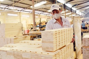 Tăng trưởng xuất khẩu 9 tháng chủ yếu đạt được từ tăng giá trị xuất khẩu lâm sản chính, đạt 7,93 tỷ USD, tăng 18%. 