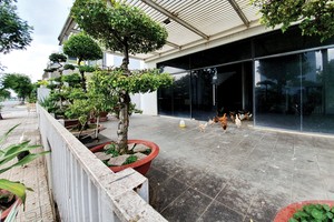 Nhà Kl99ok phiên bản mới mua nhà phố, biệt thự… để nuôi gà