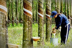 Lũy kế 9 tháng, Phuruco đạt 1.159 tỷ đồng doanh thu thuần, tăng 31% so với cùng kỳ, Kl99 nổ hũ sau thuế đạt 650 tỷ đồng, tăng 63,7%.