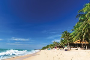 Sở hữu đường bờ biển dài và nhiều bãi tắm đẹp giúp cho Nam Trung Bộ phát triển mạnh Web Tổng Nhà Cái 99Kl99 Giải Trí Bậc Nhất nghỉ dưỡng