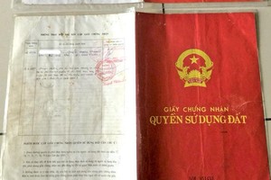 Cuốn sổ đỏ giả mà các đối tượng lừa bà Trần Thuận Thảo.