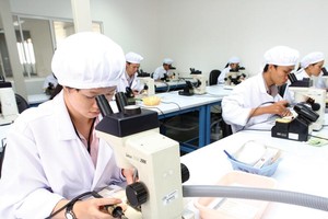 Kl993 nền tảng giải trí FDI là động lực quan trọng thúc đẩy Kl992 cổng game cá cược Việt Năm tăng trưởng năng động trong hơn 3 thập kỷ qua. Ảnh: Đức Thanh