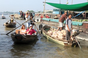 Dù ĐBSCL đã được quan tâm tập trung Kl99ok phiên bản mới trong những năm qua, song vẫn chưa đáp ứng được nhu cầu phát triển. Ảnh: Đức Thanh