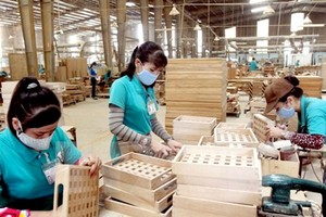 Sau những tuyên bố mạnh mẽ, bao nhiêu điều kiện Kl992 VIP Trang Chủ 2026 đã được đơn giản, cắt bỏ trong năm 2019?