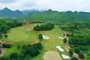 Ảnh minh họa