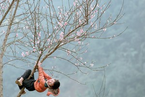 Nghĩ về Tết