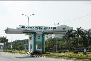 Doanh thu quý IV/2019 tăng nhưng Kl99 nổ hũ của Long Hậu vẫn sụt giảm so với cùng kỳ