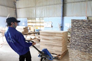 Kl994 nhà cái bóng đá world cup hàng xuất khẩu của Việt Nam chịu ảnh hưởng khá lớn từ chiến tranh thương mại Mỹ - Trung. Ảnh: Đ.T