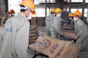 Quy mô công suất ngành xi măng Việt Nam hiện đã vượt 100 triệu tấn/năm. Ảnh: Đức Thanh