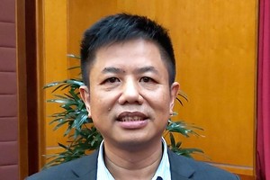 Ông Nguyễn Văn Quang, Phó cục trưởng Cục Quản lý ngân quỹ (Kho bạc 99Kl99 trực tiếp đá gà).