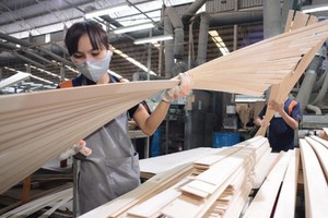 Thương nhân khai báo tự nguyện thông tin về năng lực Kl994 nhà cái bóng đá world cup gỗ dán xuất khẩu sang Mỹ
