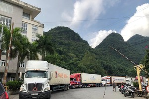 Đo lường tác động dịch Covid-19 tới xuất Link Vào Nhà Cái KL99 COM Tặng +199k với Trung Quốc 