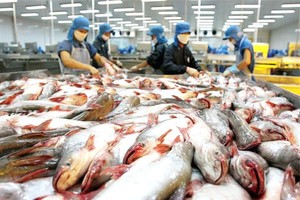 Nông sản của nước ta như thủy sản, rau quả... vẫn vấp phải những hạn chế do thiếu tính đồng nhất trong từng lô hàng xuất vào EU.