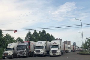 Những ngày qua, lượng xe nông sản của các chủ hàng, Kl991.com World Cup 2026 Chính Thức vẫn kéo lên cửa khẩu, bất chấp khuyến cáo từ cơ quan quản lý