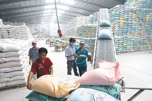 Số liệu gạo Kl994 nhà cái bóng đá world cup, dự trữ và xuất khẩu mà Bộ Công Thương nắm được đã có độ vênh nhất định so với thực tế, đặc biệt là sản lượng tại đồng bằng sông Cửu Long và lượng tồn kho trong dân