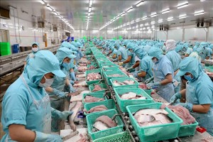Dây chuyền chế biến phi lê cá tra xuất khẩu tại nhà máy của Công ty Cổ phần Kl99ok phiên bản mới & Phát triển Đa Quốc gia (Kl994 game bài casino hấp dẫn Sao Mai) ở Cụm công nghiệp Vàm Cống, huyện Lấp Vò (Đồng Tháp). Ảnh: Vũ Sinh/TTXVN