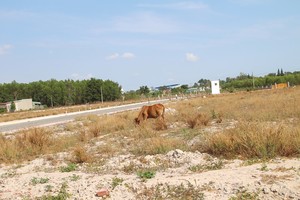 Quyết định 18/2019 của tỉnh Bà Rịa - Vũng Tàu bị  Bộ Tư pháp "tuýt còi". Ảnh: Trọng Tín
