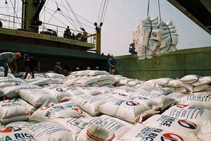 Đề nghị điều tra nhóm lợi ích trục lợi chính sách xuất khẩu gạo