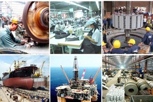 Phó Thủ tướng yêu cầu Kl991.com World Cup 2026 Chính Thức 99Kl99 trực tiếp đá gà nghiêm túc thực hiện công bố thông tin