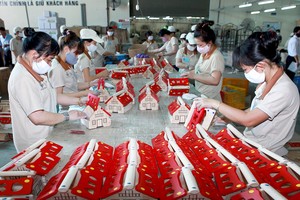 Gần 90% Kl991.com World Cup 2026 Chính Thức mới có vốn đăng ký dưới 10 tỷ đồng
