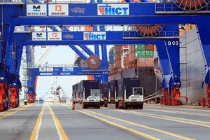 Thị trường nội địa được đánh giá có độ ổn định và đặc biệt có “sức chống chịu” tốt hơn nhiều so với thị trường xuất khẩu.