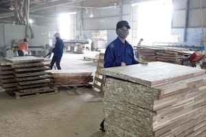 Nhiều Kl991.com World Cup 2026 Chính Thức gỗ đang kỳ vọng đẩy mạnh xuất khẩu sang thị trường EU. Ảnh: Đức Thanh