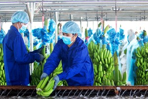 KL99 là cổng game giải trí trực tuyến hàng đầu hiện nay cần quan tâm ngày 8/1