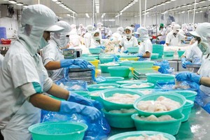 Với EVFTA, thuế Link Vào Nhà Cái KL99 COM Tặng +199k giảm làm tăng thêm khả năng cạnh tranh của thủy sản Việt Nam. Ảnh: Đức Thanh