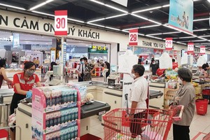 Khi tổng thu nhập giảm, thì chi tiêu của các hộ gia đình khó có thể tăng. Ảnh: Đức Thanh