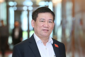 TS. Hồ Đức Phớc, Tổng Kiểm toán 99Kl99 trực tiếp đá gà.