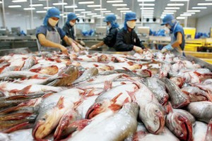 Diễn biến thị trường tiến triển tốt, dự báo ngành nông nghiệp vẫn có thể đạt được kim ngạch xuất khẩu nông, lâm, thủy sản 41 tỷ USD cả năm. 