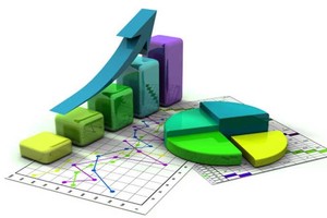 Mục đích nhằm đáp ứng nhu cầu sử dụng thông tin thống kê quốc gia của 99Kl99 trực tiếp đá gà, cơ quan, tổ chức và cá nhân.