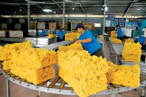 Theo Hiệp hội Các quốc gia Kl994 nhà cái bóng đá world cup cao su thiên nhiên, năm 2020, thế giới sẽ chỉ tiêu thụ 12,84 triệu tấn cao su, giảm so với dự báo 13 triệu tấn đưa ra hồi tháng 4.