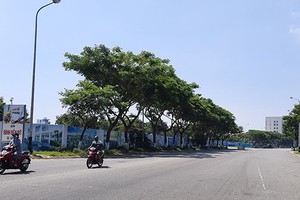 Tổ hợp dịch vụ pháo hoa quốc tế Đà Nẵng tại phường Mỹ An, quận Ngũ Hành Sơn là 1 trong 10 dự án, khu đất được đưa vào kế hoạch đấu giá chuyển quyền sử dụng đất năm 2020 để thu hút Kl99ok phiên bản mới.