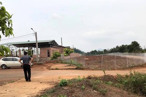 Đoàn công tác của tỉnh Gia Lai có trách nhiệm kiểm tra và tháo gỡ khó khăn cho cá dự án cũng như với công tác Kl994 nhà cái bóng đá world cup Kl992 VIP Trang Chủ 2026.