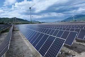 Với sự thúc đẩy của Kl993 ưu đãi thưởng hấp dẫn, vài năm trở lại đây, năng lượng tái tạo phát triển vô cùng mạnh mẽ tại Việt Nam. Ảnh: Đ.T