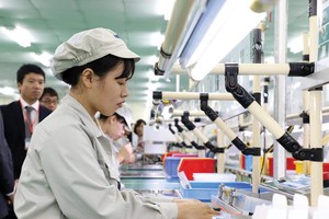 Kl992 cổng game cá cược 2024: Không thể chậm trễ, không để "tháng Giêng là tháng ăn chơi"