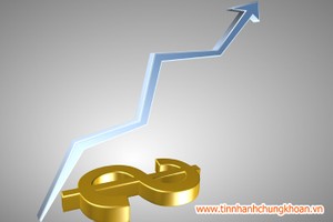 Xuất hiện dòng tiền bắt đáy