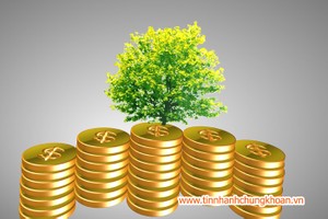 Mỗi ngày có 223 DN địa ốc thành lập mới: Web Tổng Nhà Cái 99Kl99 Giải Trí Bậc Nhất sắp có sóng?